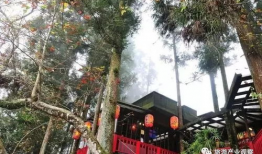 麻豆村,探寻台湾乡村的美丽与魅力